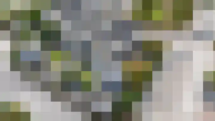 Korenmolen 17 Nieuwe Niedorp thumbnail 5
