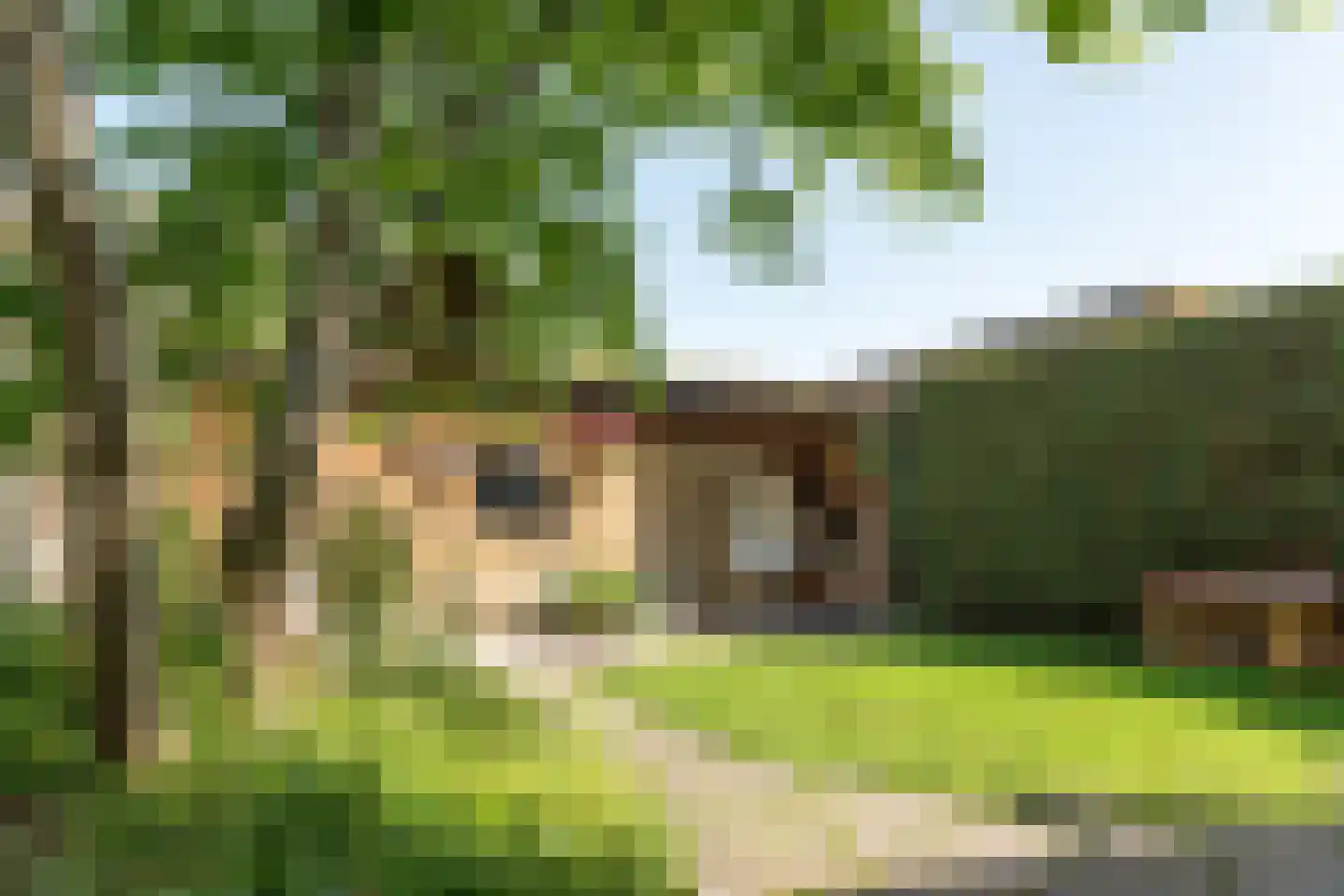Korenmolen 179 Drachten thumbnail 35
