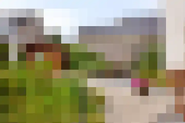 Korenmolen 18 Bergschenhoek thumbnail 15