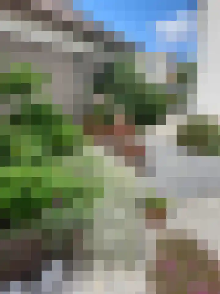 Korenmolen 18 Bergschenhoek thumbnail 16