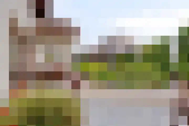 Korenmolen 18 Bergschenhoek thumbnail 17