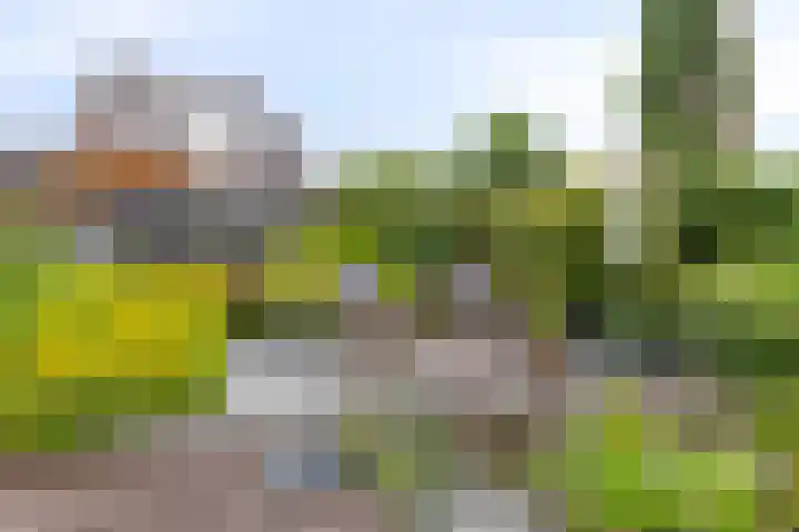 Korenmolen 18 Bergschenhoek thumbnail 18