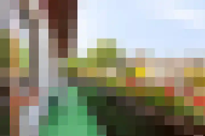 Korenmolen 18 Bergschenhoek thumbnail 32