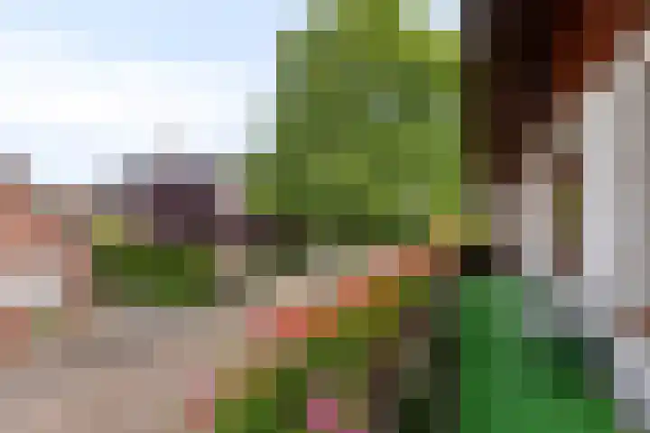 Korenmolen 18 Bergschenhoek thumbnail 35