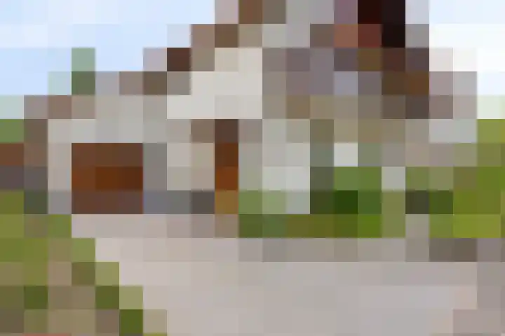 Korenmolen 18 Bergschenhoek thumbnail 4