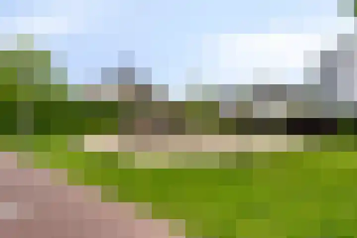 Korenmolen 18 Bergschenhoek thumbnail 42