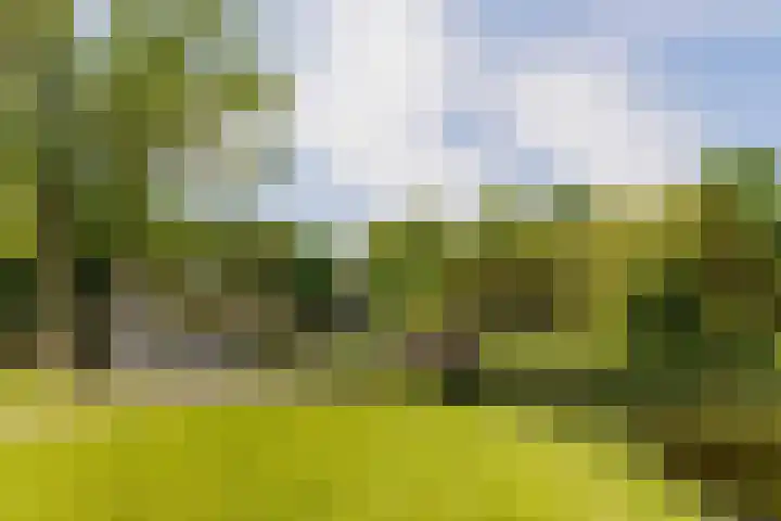 Korenmolen 19 Alphen aan den Rijn thumbnail 33