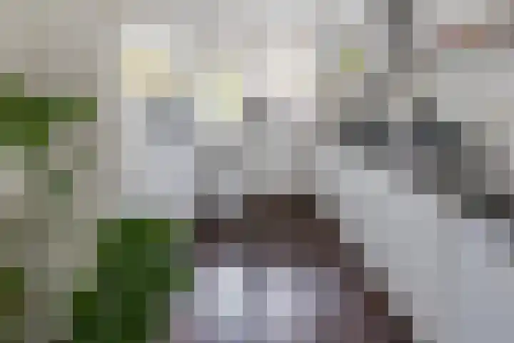 Korenmolen 19 Alphen aan den Rijn thumbnail 6