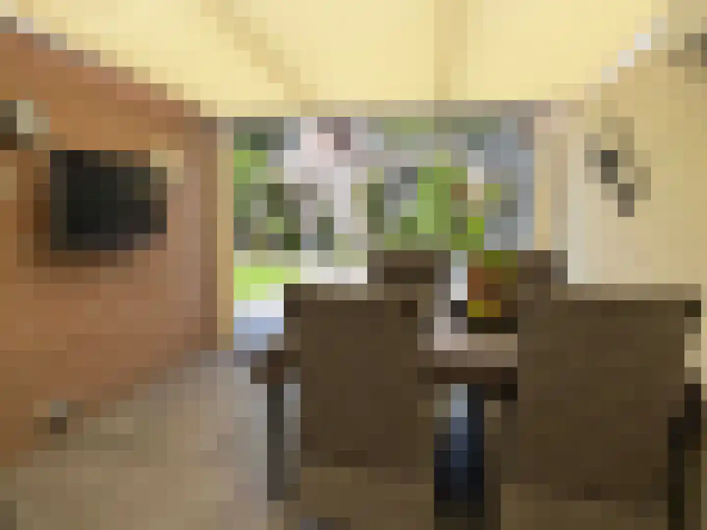 Korenmolen 19 Dalen thumbnail 10