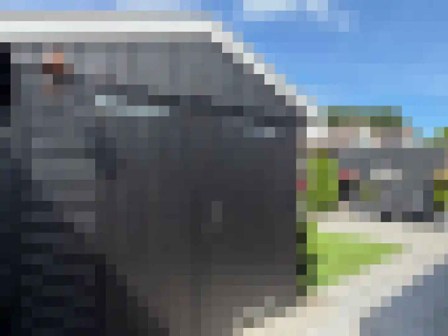 Korenmolen 19 Dalen thumbnail 13