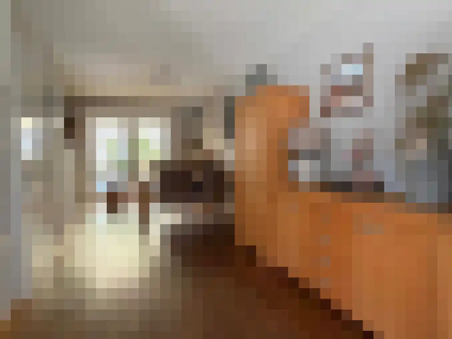 Korenmolen 19 Dalen thumbnail 18