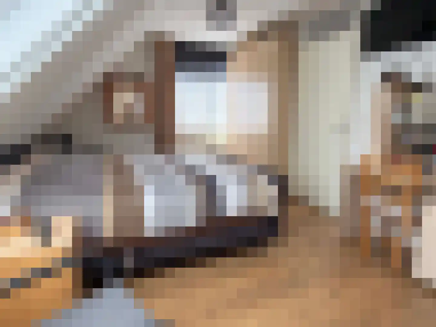 Korenmolen 19 Dalen thumbnail 31