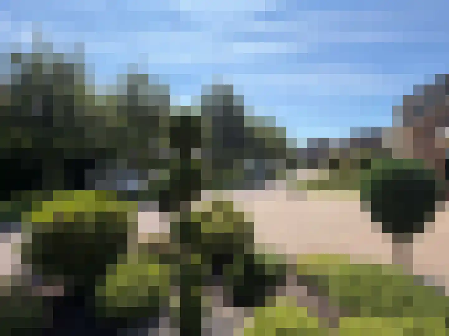 Korenmolen 19 Dalen thumbnail 7