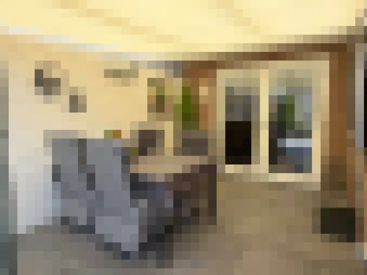 Korenmolen 19 Dalen thumbnail 9
