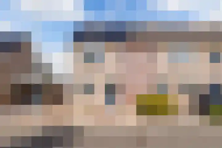 Korenmolen 195 Drachten thumbnail 8