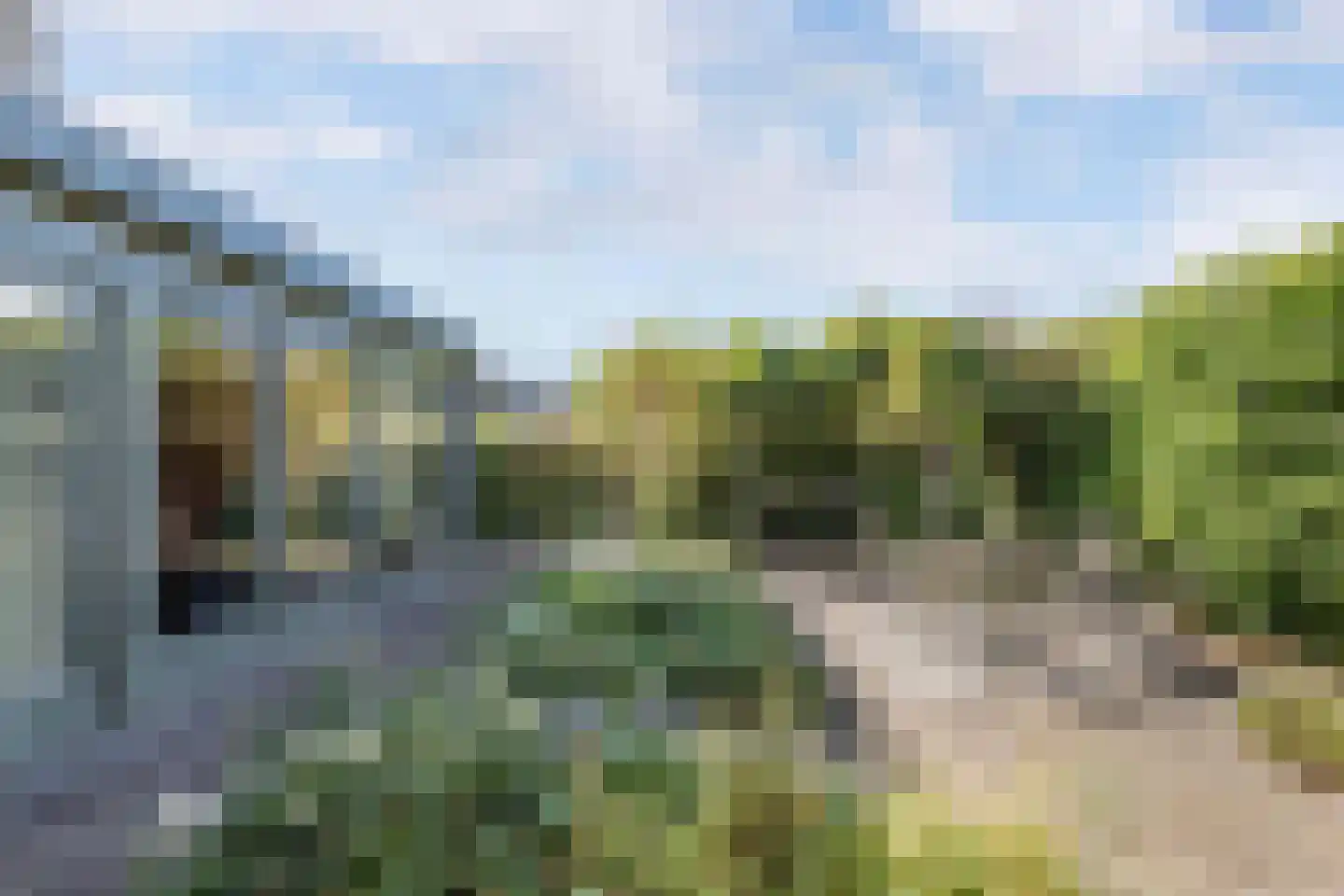 Korenmolen 203 Drachten thumbnail 51