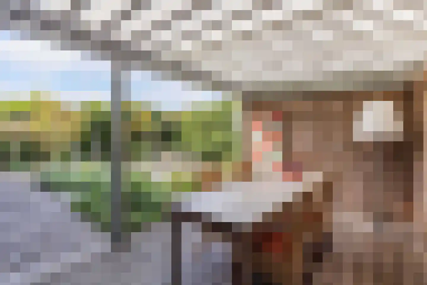 Korenmolen 203 Drachten thumbnail 55