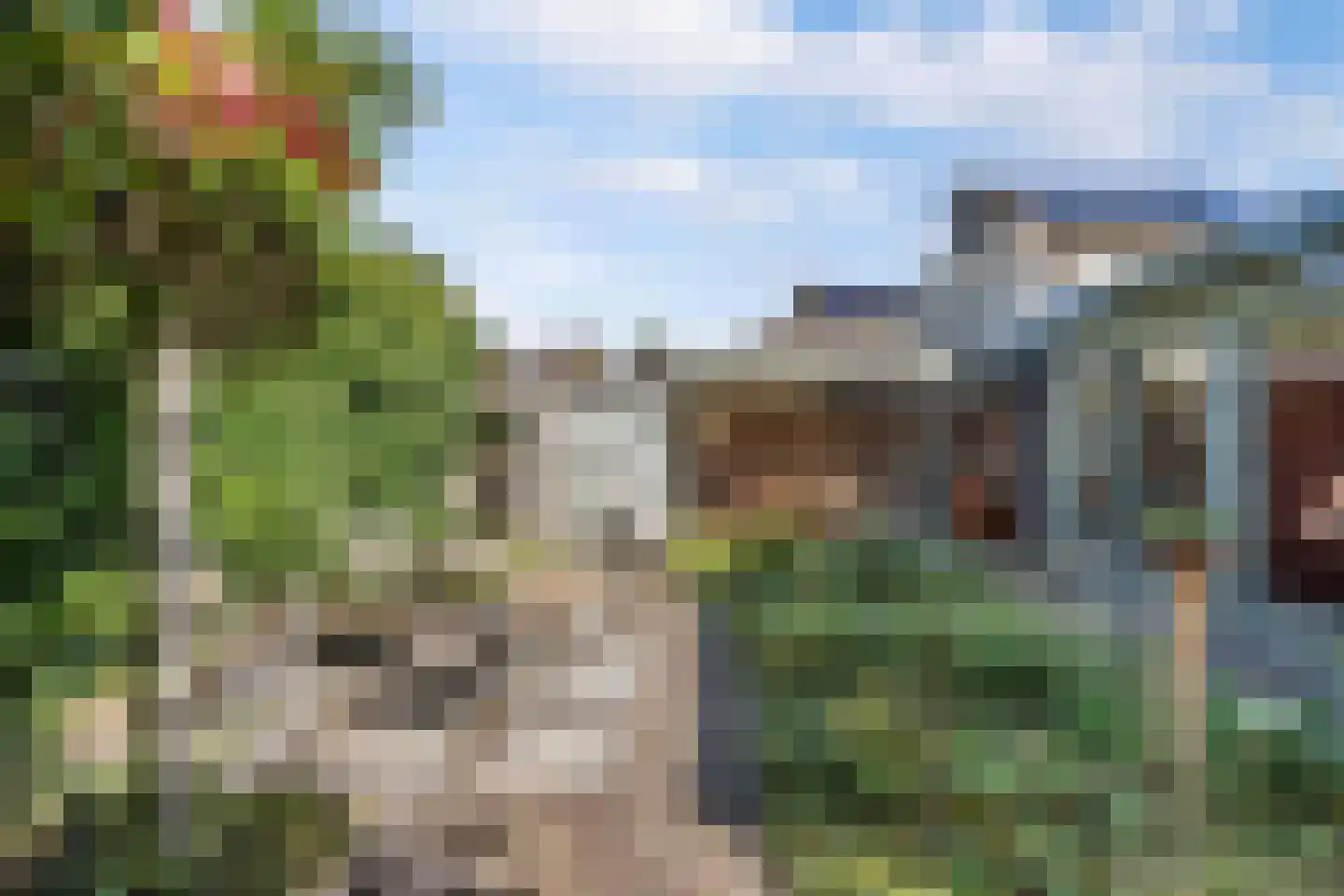 Korenmolen 203 Drachten thumbnail 56