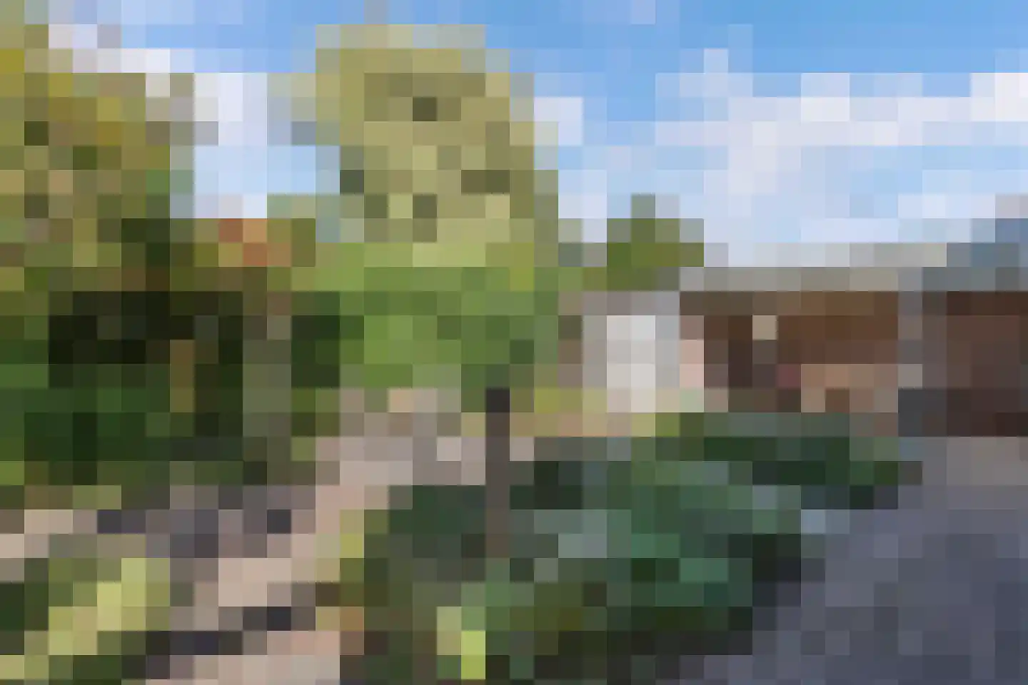 Korenmolen 203 Drachten thumbnail 57