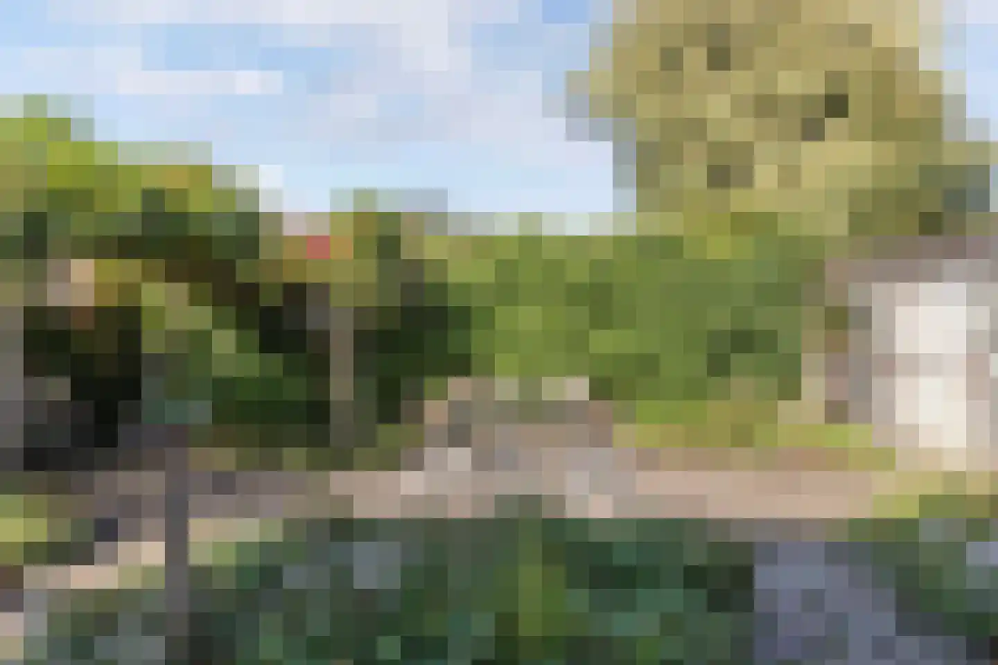 Korenmolen 203 Drachten thumbnail 58