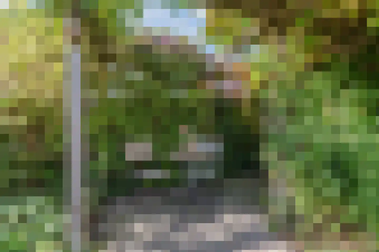 Korenmolen 203 Drachten thumbnail 59
