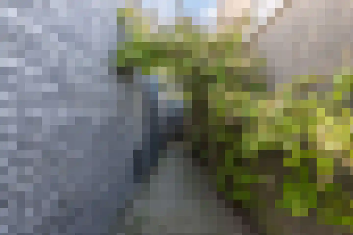 Korenmolen 203 Drachten thumbnail 60