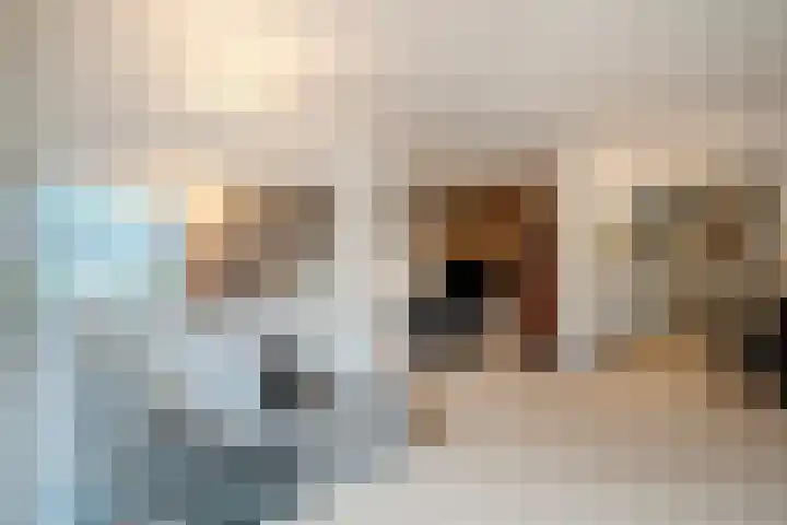 Korenmolen 21 Schagen thumbnail 16