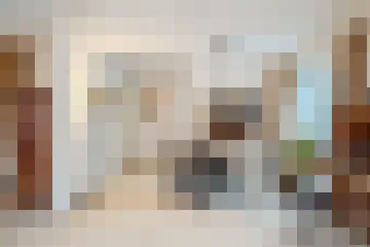 Korenmolen 21 Schagen thumbnail 17