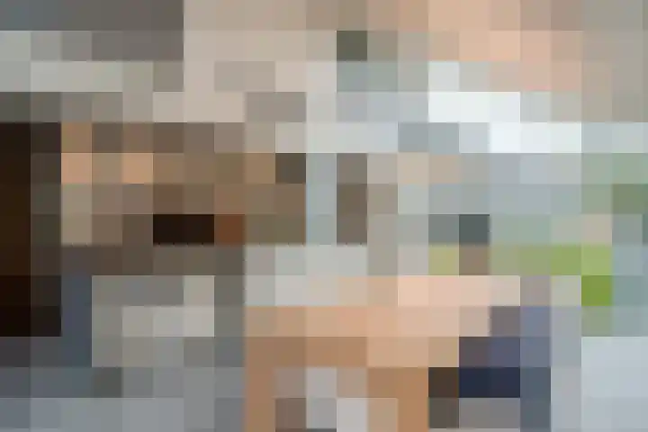 Korenmolen 21 Schagen thumbnail 33