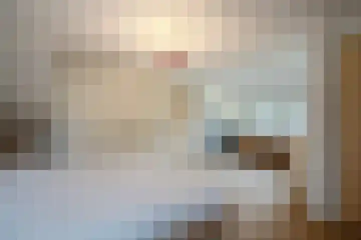 Korenmolen 21 Schagen thumbnail 38