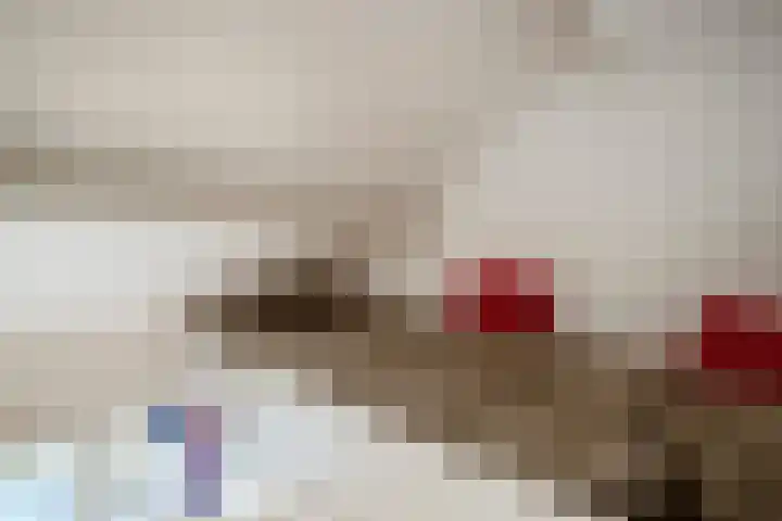 Korenmolen 21 Schagen thumbnail 48