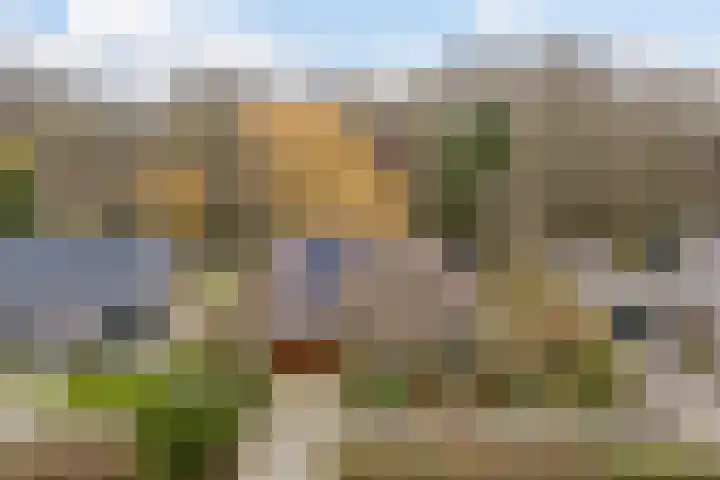 Korenmolen 21 Schagen thumbnail 6