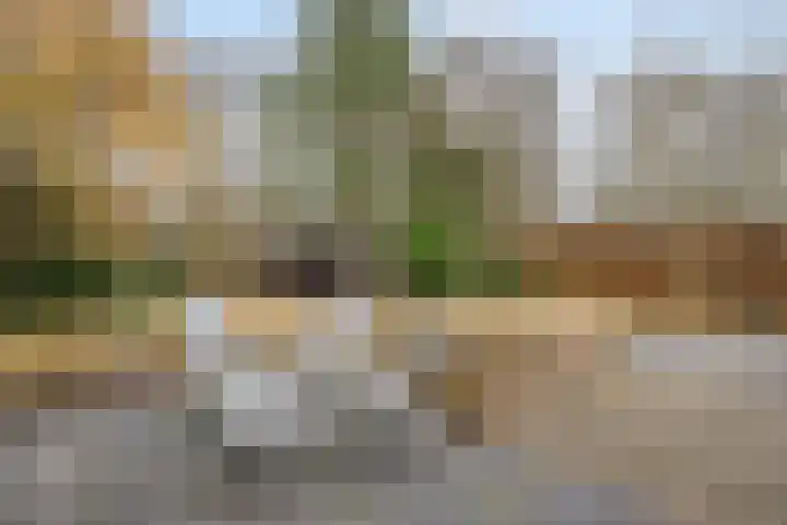 Korenmolen 21 Schagen thumbnail 61