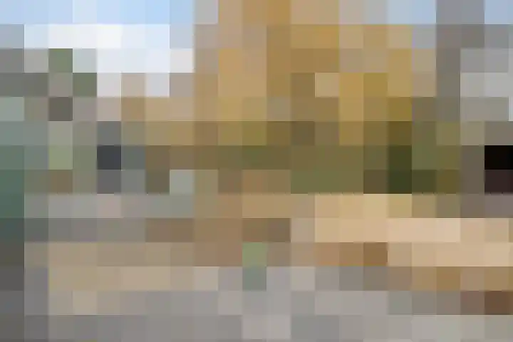 Korenmolen 21 Schagen thumbnail 63