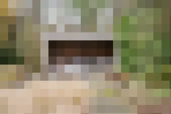 Korenmolen 21 Schagen thumbnail 65