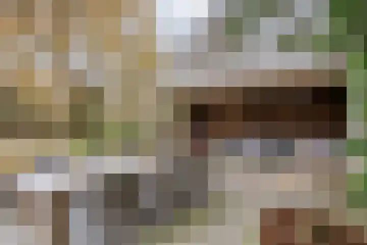 Korenmolen 21 Schagen thumbnail 68