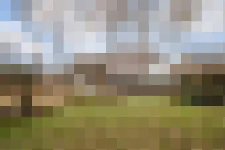 Korenmolen 21 Schagen thumbnail 71