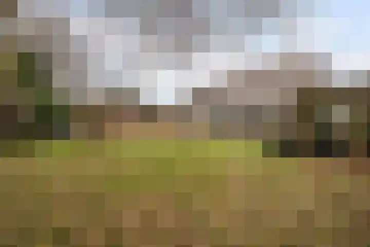 Korenmolen 21 Schagen thumbnail 72