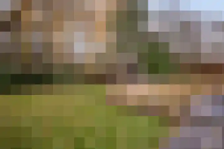 Korenmolen 21 Schagen thumbnail 73