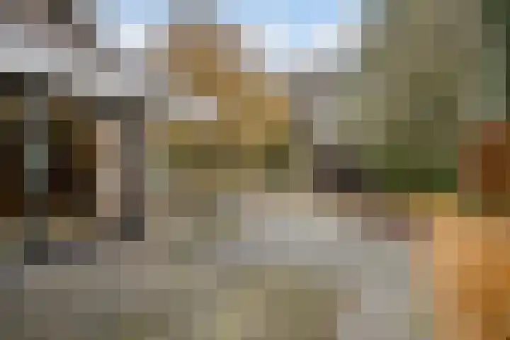 Korenmolen 21 Schagen thumbnail 74