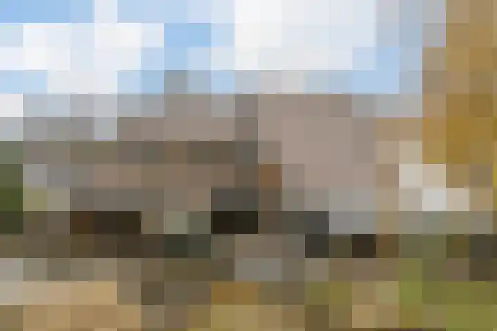 Korenmolen 21 Schagen thumbnail 75