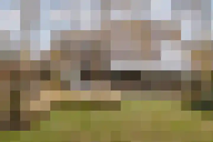 Korenmolen 21 Schagen thumbnail 76