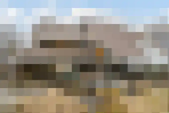 Korenmolen 21 Schagen thumbnail 77