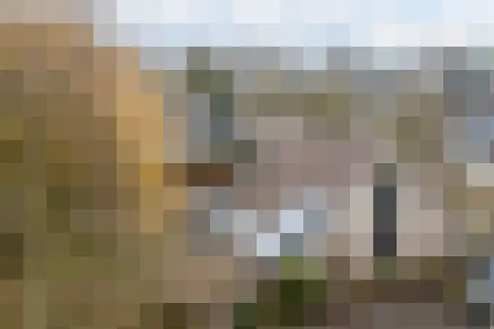 Korenmolen 21 Schagen thumbnail 78