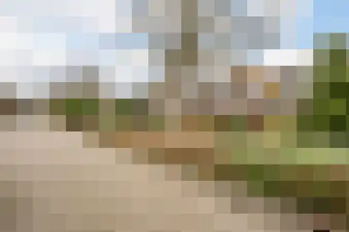 Korenmolen 21 Schagen thumbnail 79