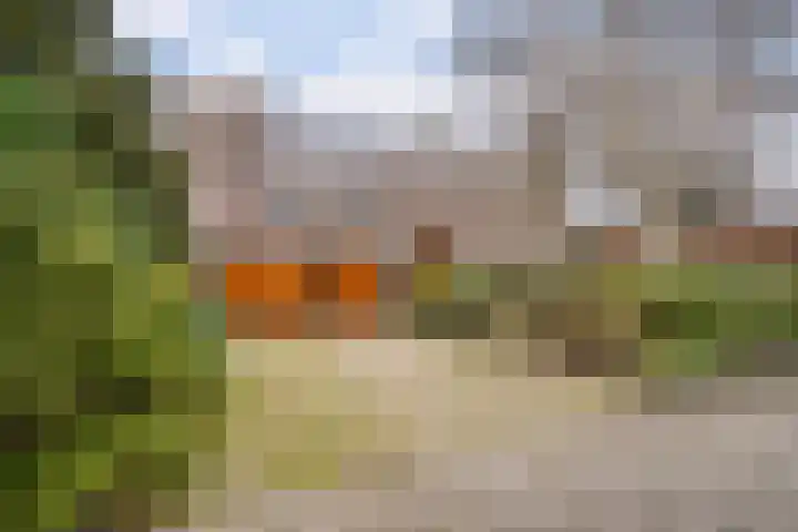 Korenmolen 21 Schagen thumbnail 8