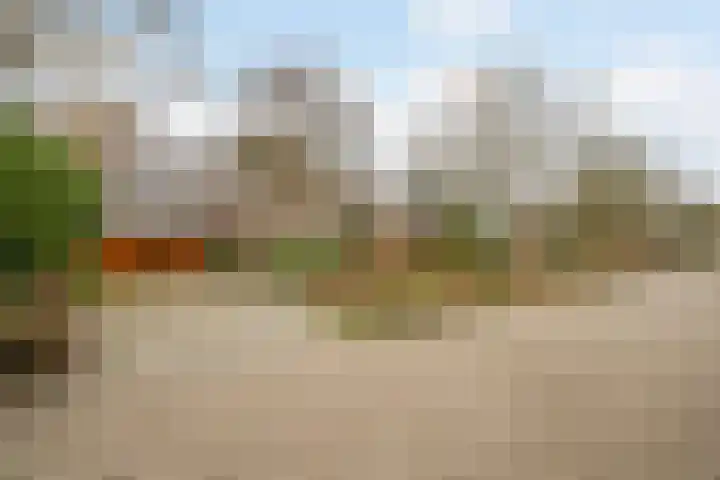 Korenmolen 21 Schagen thumbnail 80