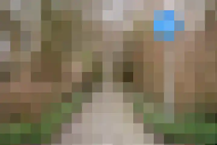 Korenmolen 21 Schagen thumbnail 81