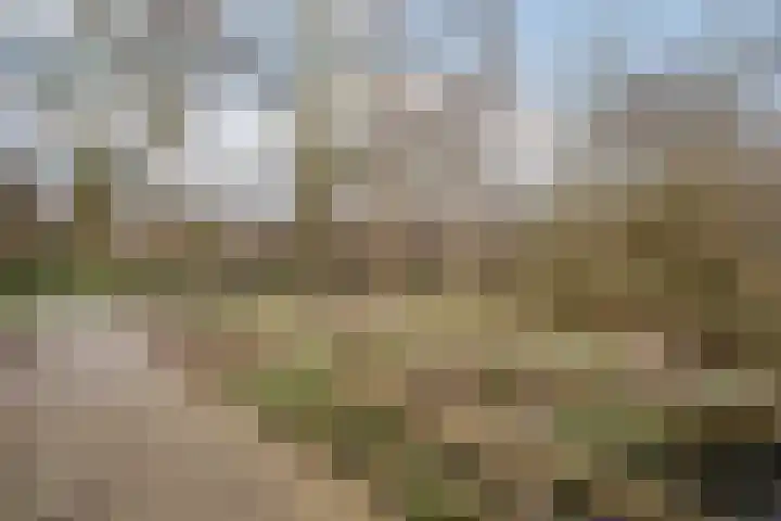 Korenmolen 21 Schagen thumbnail 82