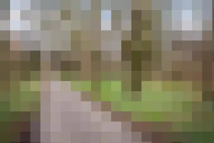 Korenmolen 21 Schagen thumbnail 83